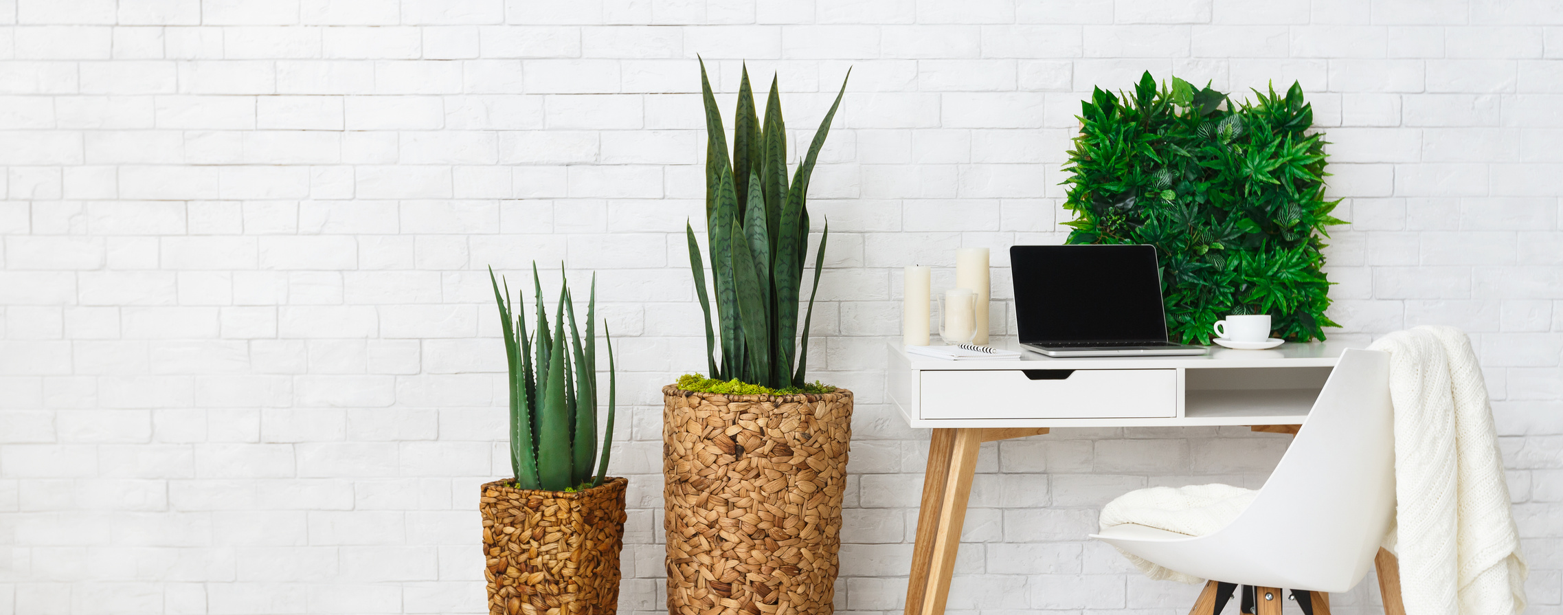 Cozy home office concept